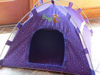 Picture of Personalized Female Cat Tent