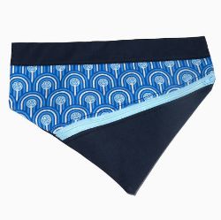 Image de Bandeau pour chien