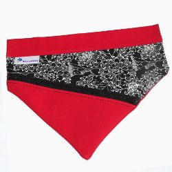 Image de Bandeau pour chien