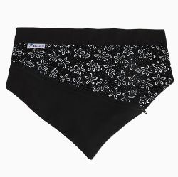 Image de Bandeau pour chien