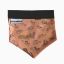 Image de Bandeau pour chien