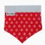 Image de Bandeau pour chien