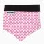 Image de Bandeau pour chien