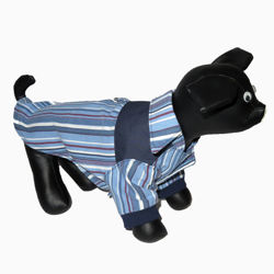 Image de Chemise pour chien de petite race - (SB-M)