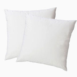 Picture of Throw Pillow Insert
