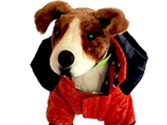 Picture for category Dog Clothing