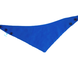 Image de la catégorie Bandeaux  2 EN 1