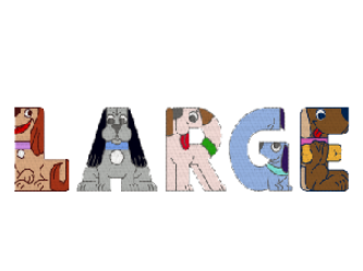Image de la catégorie Bandeaux Larges